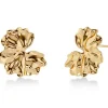 Edblad korvakorut Gerana Studs L, Gold pleated