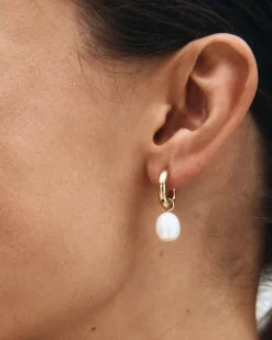 Edblad korvakorut Perla Hoops L Gold, Gold pleated
